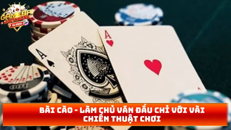 Bài cào